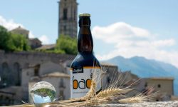 BIRRA AGRICOLA AL GRANO SOLINA, LA FILIERA CORTA DELLA BRASSERIA DI GORIANO SICOLI