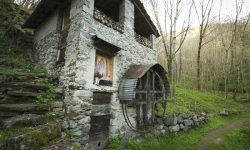 GUSTOSANDO IN VALTELLINA, NEL WEEKEND “INVOLT DA DUBIN”