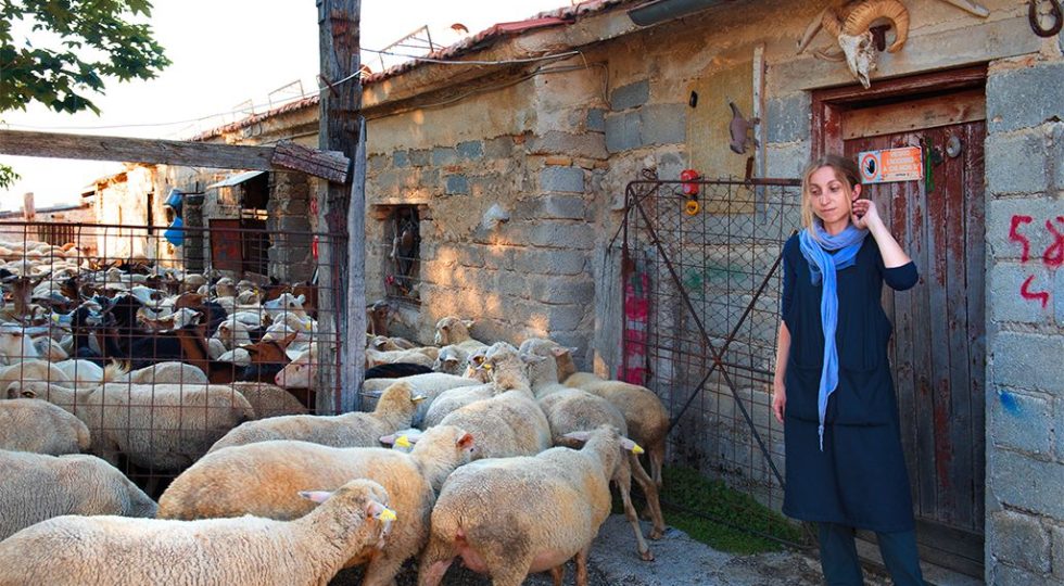 A FRATTURA VECCHIA ALLA SCOPERTA DEGLI SPAZI RIGENERATI GRAZIE ALLA RISCOPERTA DEL FAGIOLO BIANCO
