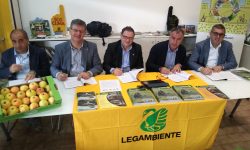 MELE BIOLOGICHE DEL MOLISE PER GLI ORSI DEI PARCHI D’ABRUZZO E DELLA MAJELLA