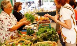 MUSICA E ANIMAZIONE NEI MERCATI RIONALI CON “PESCARA MARKET VIBES”