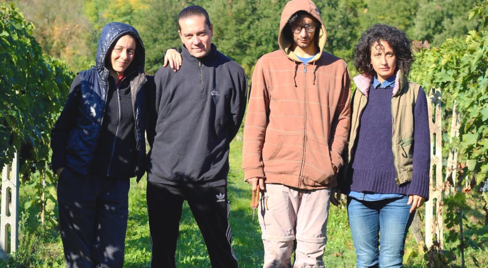 MIGLIAIA DI EURO DI MULTA PER CHI PORTA UN AMICO IN VENDEMMIA, LE REGOLE ASSURDE PENALIZZANO LE PICCOLE AZIENDE