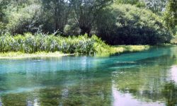 L’ACCUSA DEL COSPA: CONTADINI SFRATTATI DAL TIRINO PER IL BUSINESS TURISTICO