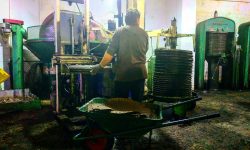 FRANTOI APERTI A NAVELLI E NELLA VALLE DEL TIRINO SOGNANDO LA DOP – VIDEO