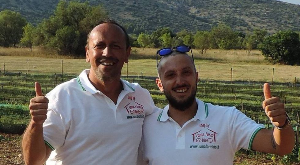 LUMACHE ALLEVATE ALL’APERTO, LA PROMETTENTE ELICICOLTURA DELLA LUMA FARM BIO DI VITTORITO