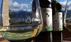 SELEZIONE DI VINI ABRUZZESI IN INVECCHIAMENTO SUL GRAN SASSO