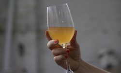 VIGNAIOLI NATURALI AL PRIMO SALONE DEDICATO AGLI ORANGE WINE