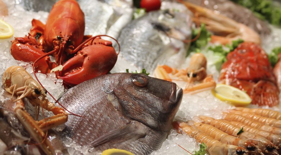 GIORNATA NAZIONALE DEL PESCE, A TERAMO SI CELEBRA CON I PRODOTTI DELL’ADRIATICO