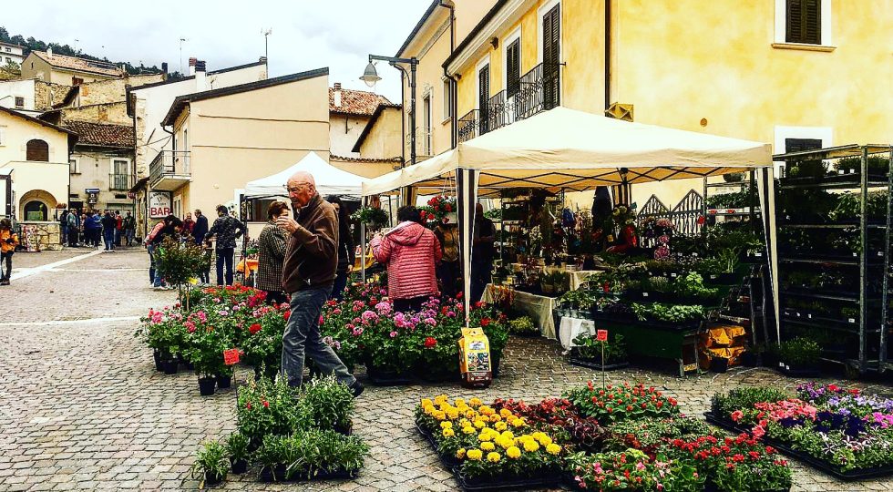 MERCATO DEI FIORI, A BARISCIANO COLORI E PROFUMI DI PRIMAVERA