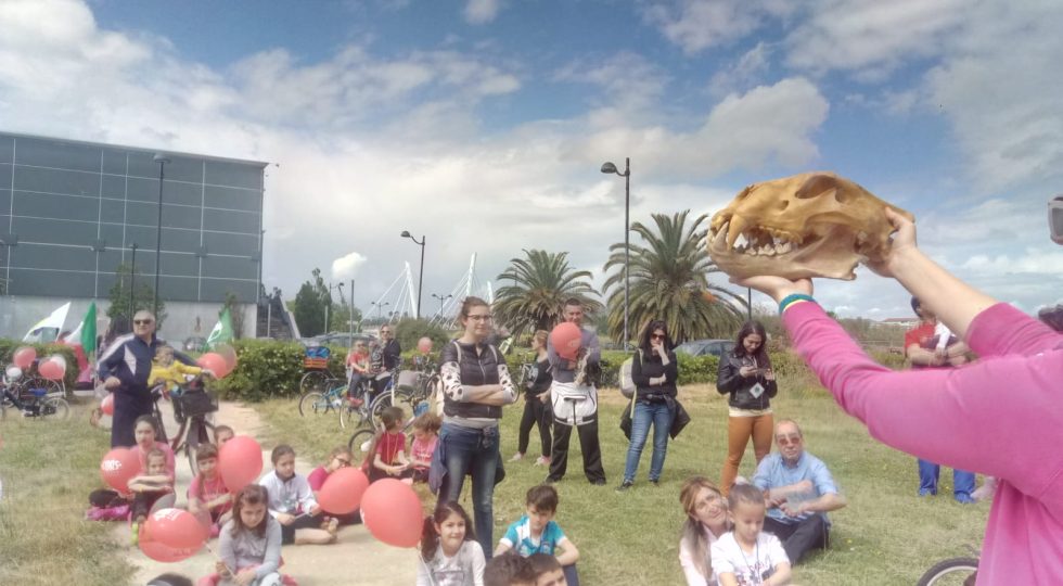 ALLA CICLOPASSEGGIATA ECOLOGICA UN FIUME DI BIMBI IN BICI A MONTESILVANO