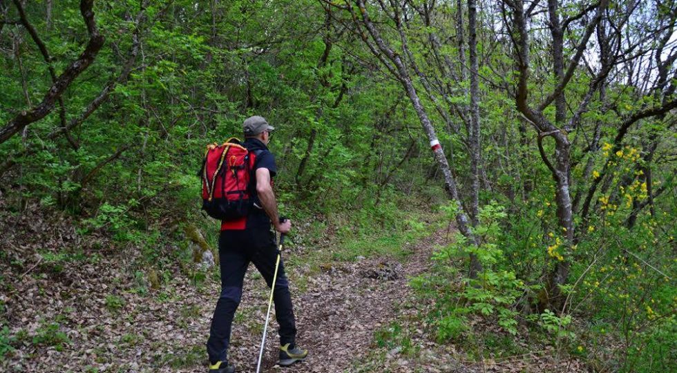DOMENICA A VILLA SANT’ANGELO PASSEGGIATA DIDATTICA E PRODOTTI TIPICI