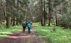 I TECNICI DELLE FAGGETE VETUSTE IN ROMANIA PER INCONTRO RETE UNESCO