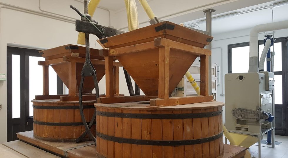 MOLINO LATTANZIO, GRANI E LAVORAZIONI ANTICHE PER FARINE DI ALTA QUALITÀ
