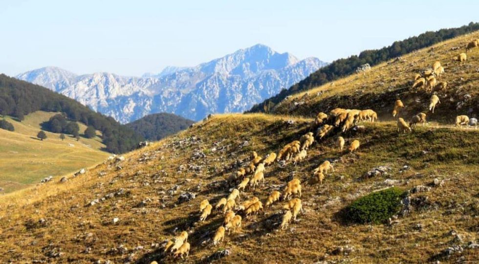 PROPRIETÀ COLLETTIVE E USI CIVICI, ALL’AQUILA CONVEGNO CON IL GIURISTA GROSSI