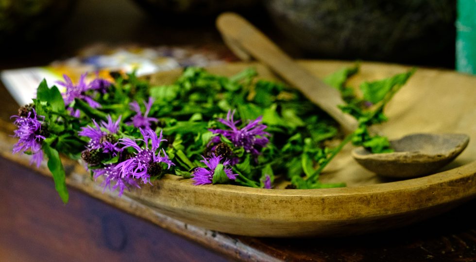 “ERBE DEL CASARO”, IN ALTA VAL BREMBANA DUE WEEKEND ALL’INSEGNA DEL GUSTO MONTANO