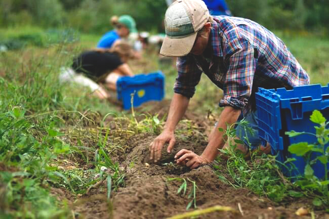 IN ABRUZZO AUMENTANO I GIOVANI IN AGRICOLTURA, SONO 1.567 LE AZIENDE DI UNDER 35