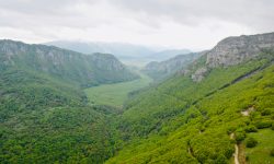 ALLEVATORI DEL COSPA: “ELIMINARE IL PARCO SIRENTE VELINO”