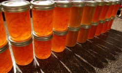 LE REALIZZAZIONI DEI DISABILI ABRUZZESI NEI MIGLIORI BAR E HOTEL D’ITALIA