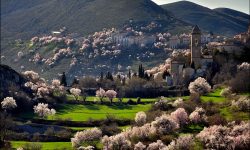 SULLA VIA DEI MANDORLI, TRA NAVELLI, PICENZE E PESCOMAGGIORE SPETTACOLI, DOLCI E FANTASIA