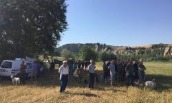 CANI DA CACCIA E DA RICERCA IN GARA A VILLANOVA DI CEPAGATTI