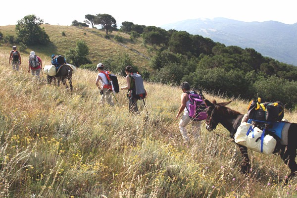 TREKKING SOMEGGIATO, NUOVE ESCURSIONI AD AGOSTO A SANTO STEFANO DI SESSANIO