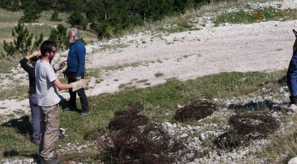 VOLONTARI RIPULISCONO DAL FERRO SPINATO LE MONTAGNE TRA I PARCHI D’ABRUZZO E SIRENTE