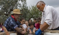 A ORTONA TORNA LA FESTA IN VIGNA PER LA RACCOLTA DEL MONTEPULCIANO