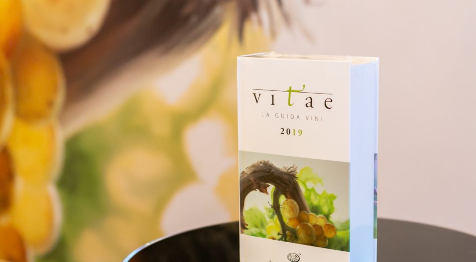 VITAE, 18 VINI ABRUZZESI AL TOP NELLA GUIDA DEI SOMMELIER