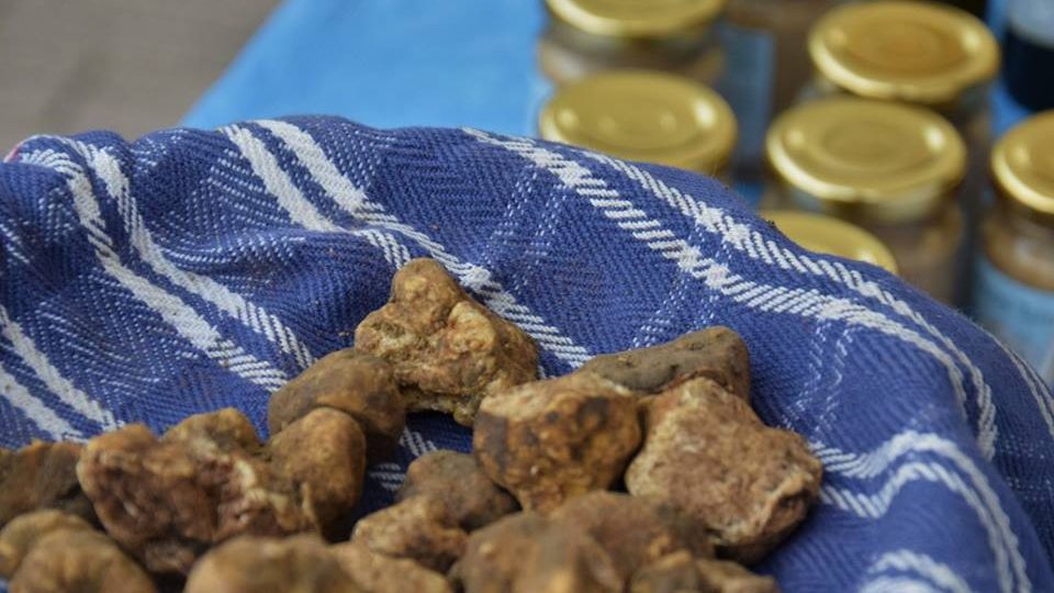 SANTE MARIE DIVENTA CITTÀ DEL TARTUFO