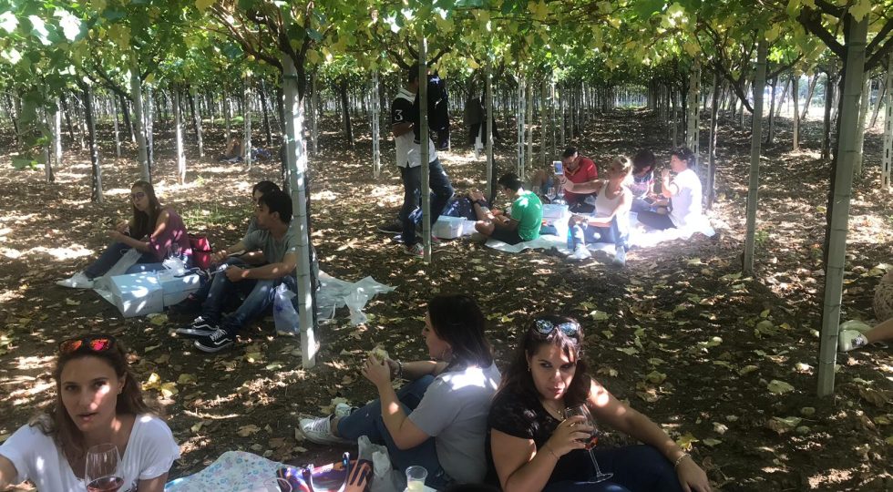 “FERZO ON THE ROAD”, ALLA SCOPERTA DI VOLTI E LUOGHI DI PRODUZIONE DEL VINO