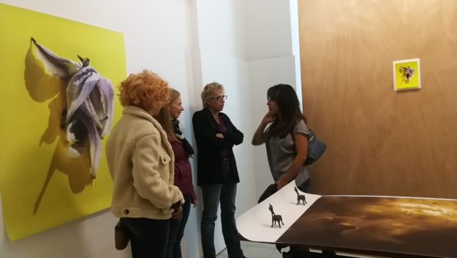 Studi aperti_4
