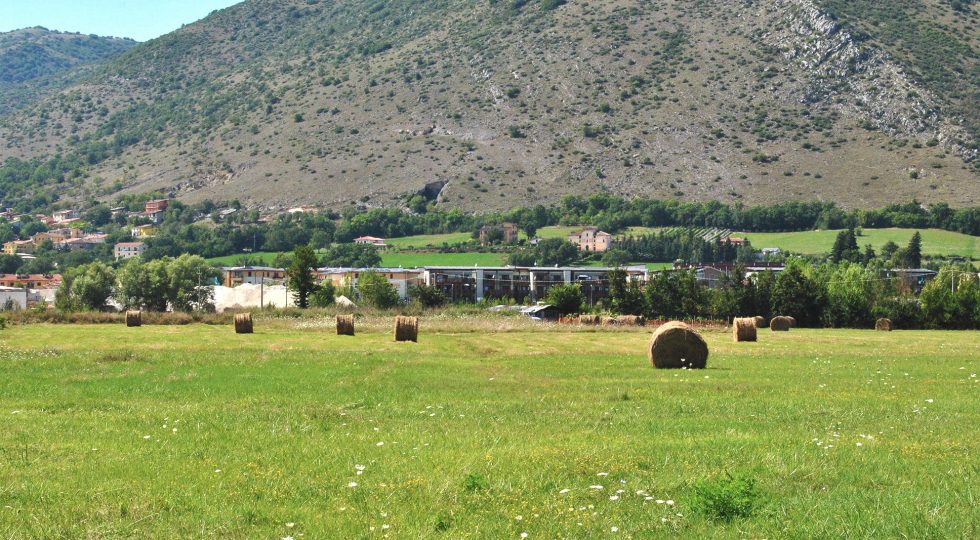 IL BENE COMUNE NELLE AREE INTERNE: COME CAMBIANO LE AMMINISTRAZIONI DEL DOMINIO COLLETTIVO