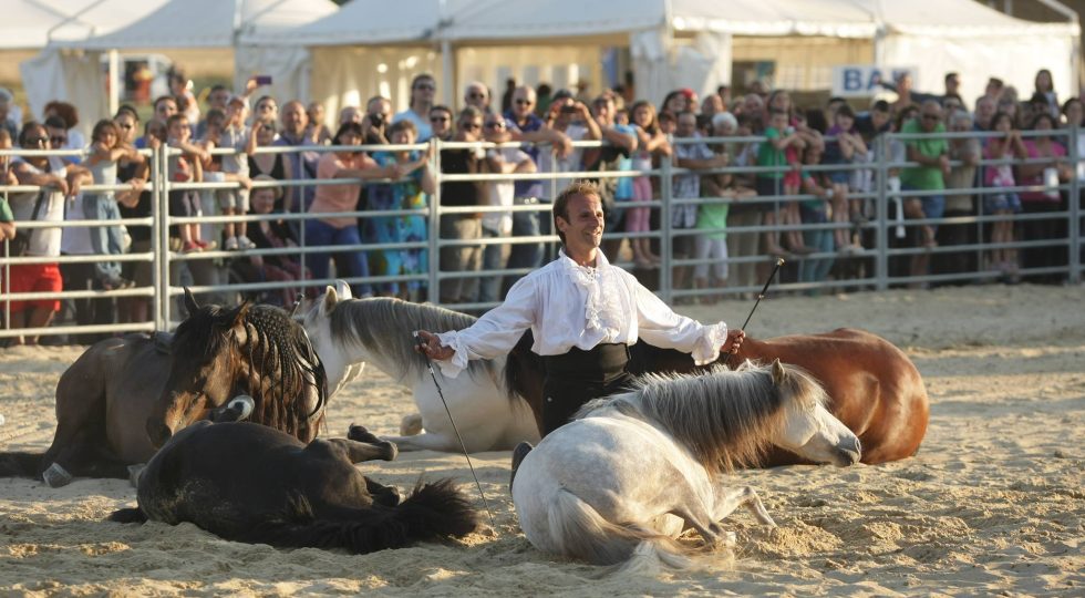 AD ARISCHIA TORNANO LA STORICA FIERA DI OTTOBRE E IL PALIO RENZO MARTELLUCCI