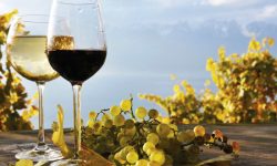 L’AQUILA SCOPRE LA GRECIA DEL VINO, TRA STORIA E DEGUSTAZIONI