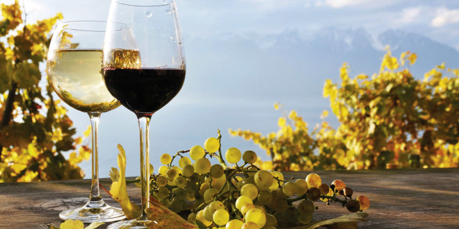 L’AQUILA SCOPRE LA GRECIA DEL VINO, TRA STORIA E DEGUSTAZIONI