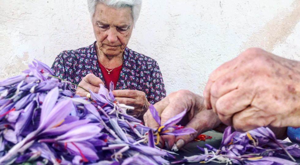 ALLA SCOPERTA DELL’ORO ROSSO, ALL’ARCHIVIO DI STATO DELL’AQUILA UNA MOSTRA IN REALTÀ AUMENTATA