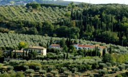 L’EXTRAVERGINE BIO DEI PERSIANI, AD ATRI INCONTRO E DEGUSTAZIONE