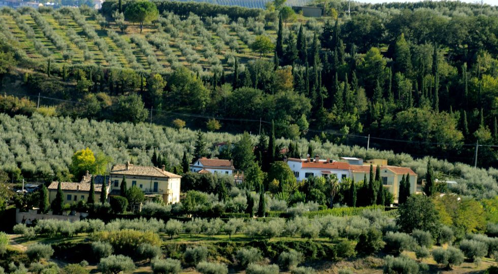 L’EXTRAVERGINE BIO DEI PERSIANI, AD ATRI INCONTRO E DEGUSTAZIONE