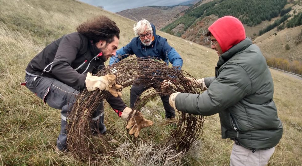 VOLONTARI SALVA ORSO TAGLIANO E RIMUOVONO FILO SPINATO SULLE MONTAGNE DI COCULLO
