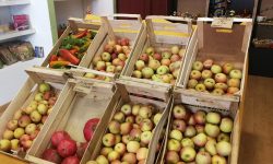 CROLLO DEL 61% DELLA SPESA CONTADINA, RIAPRONO MERCATI COLDIRETTI
