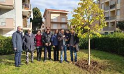 A PINETO TITOLARI DEL BISTRÒ BONASSÌ DONANO ALBERO DI NATALE ALLA CITTÀ
