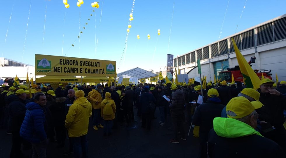 CIMICE ASIATICA DISTRUGGE I RACCOLTI, ANCHE DALL’ABRUZZO MOBILITAZIONE A “FIERAGRICOLA”