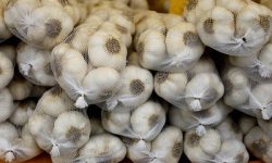 IN TUNISIA SI CREDE CHE L’AGLIO COMBATTA IL CORONAVIRUS