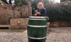 LE DONNE DEL VINO CELEBRANO LA FESTA DELLA DONNA COLORANDO LE BOTTI DI VERDE