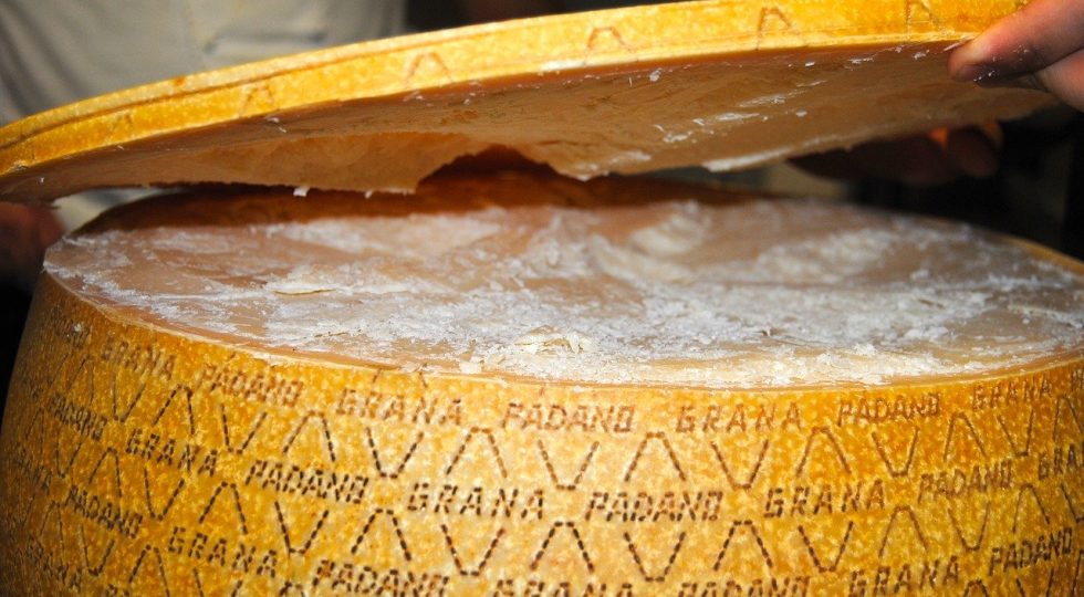 CONSORZIO GRANA PADANO DONA 1 MILIONE ALLA SANITÀ