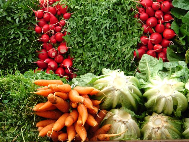 È PRIMAVERA, PRIMIZIE DI STAGIONE MATURANO IN ANTICIPO