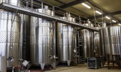 COLDIRETTI PROPONE DI DISTILLARE VINO PER PRODURRE ALCOL