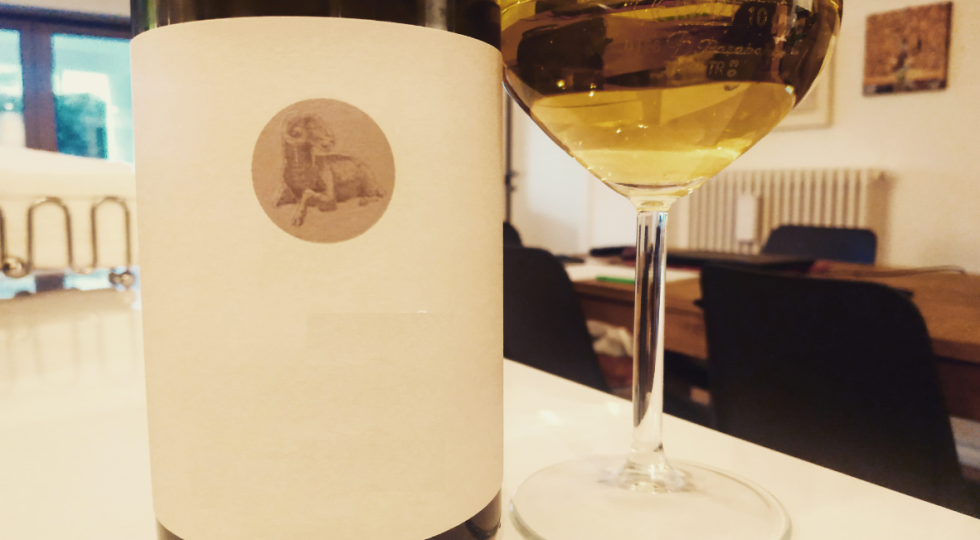 #IOBEVOABRUZZESE, LA CAMPAGNA DEL CONSORZIO MENTRE SI RESTA A CASA