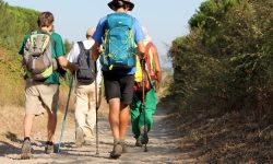 CORONAVIRUS, IL CAMMINO DI SAN TOMMASO ONLINE DAL 23 APRILE AL 3 MAGGIO