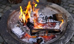 Passione barbecue: un terzo degli italiani disposto a pagare di più per legna da ardere “di pregio”